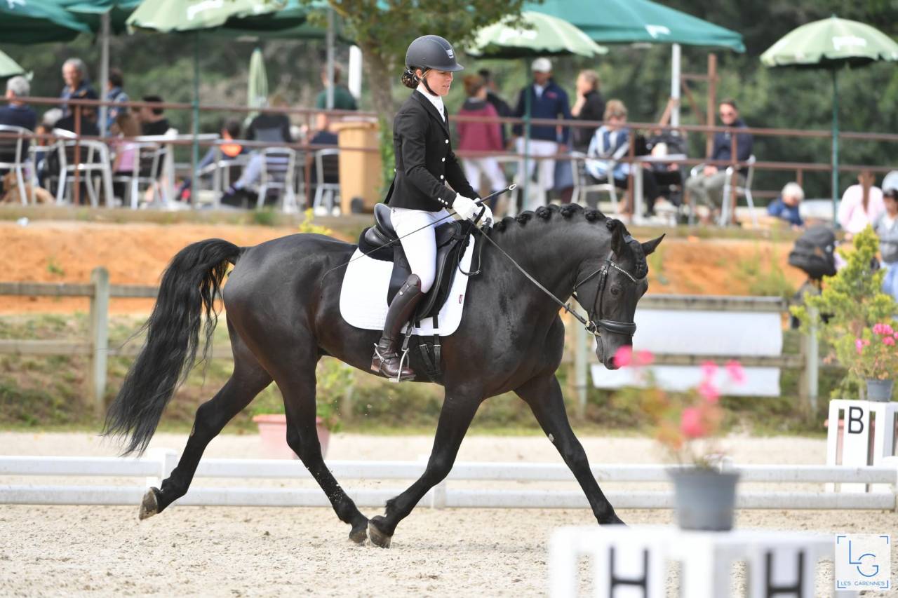 Wlahad des Brumières 029 - Arabo Fries 2015 ,  Sinoan Bashhar Aswad