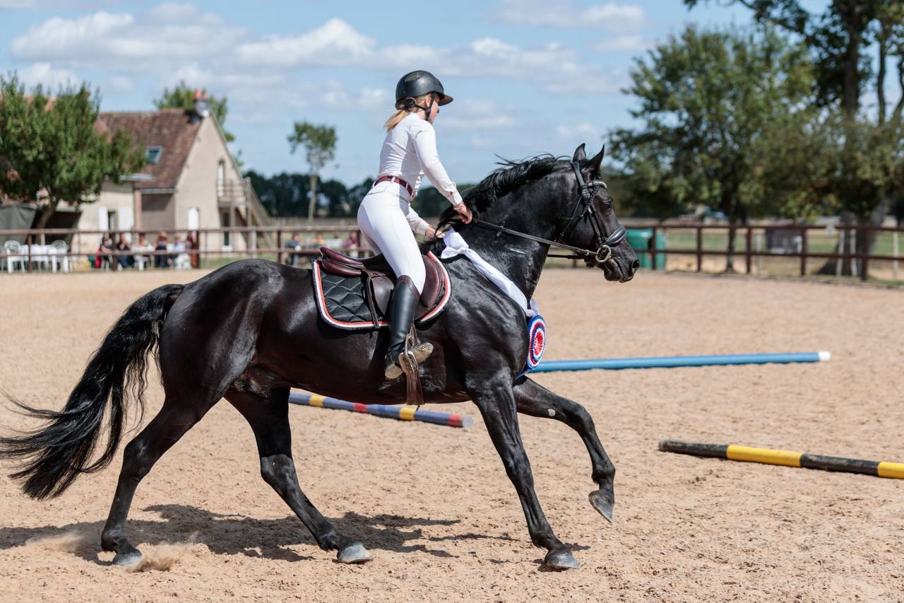 Wlahad des Brumières 029 - Arabo Fries 2015 ,  Sinoan Bashhar Aswad