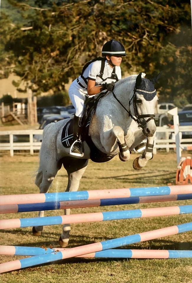 LAPSUS DE L'OCQ - New Forest 1999 ,  WILLOWAY GOOD AS GOLD (GB)