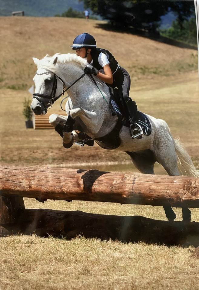 LAPSUS DE L'OCQ - New Forest 1999 ,  WILLOWAY GOOD AS GOLD (GB)