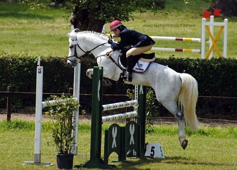 LAPSUS DE L'OCQ - New Forest 1999 ,  WILLOWAY GOOD AS GOLD (GB)