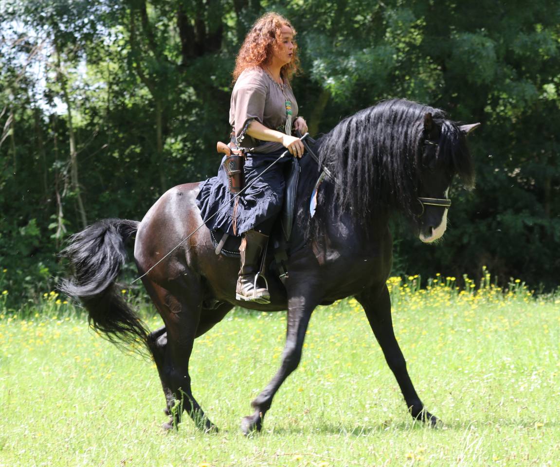 PUNTEADO II - PRE Puur Ras Spaans 2004 ,  Gereno II