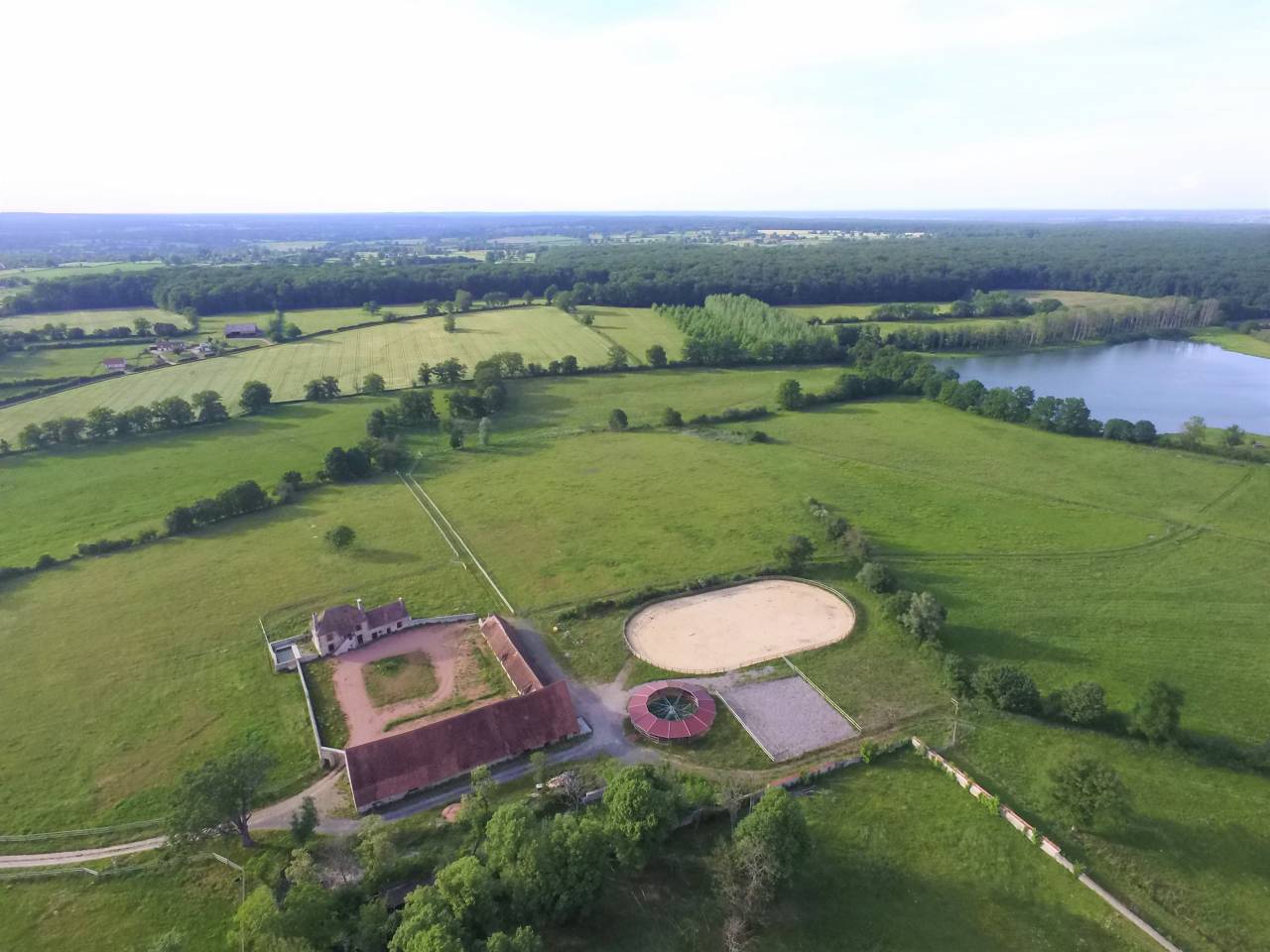 Stoeterij Koop Allier