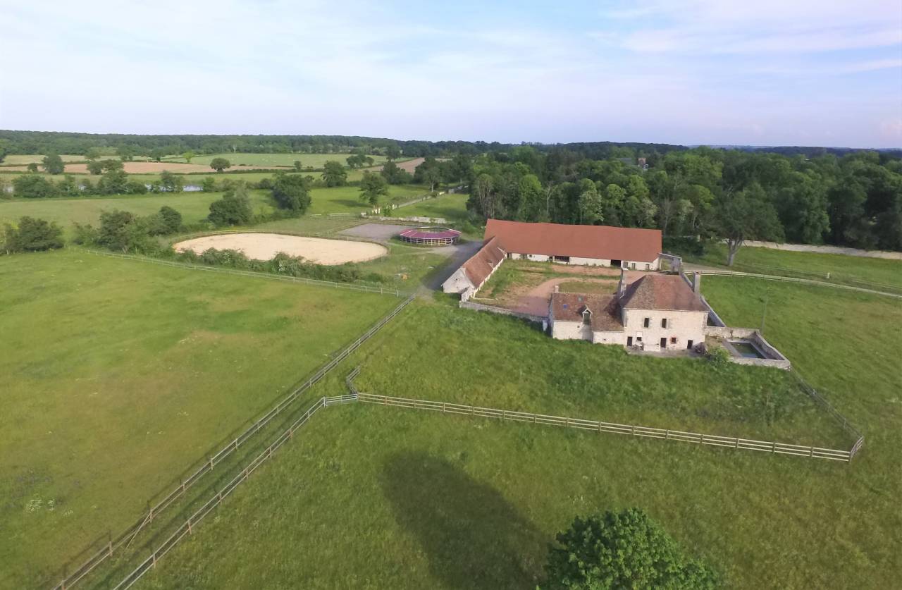 Stoeterij Koop Allier