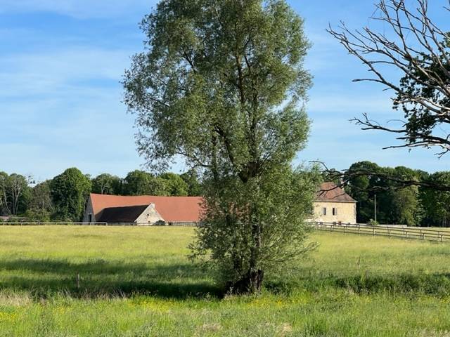 Stoeterij Koop Allier