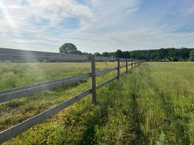 Stoeterij Koop Allier