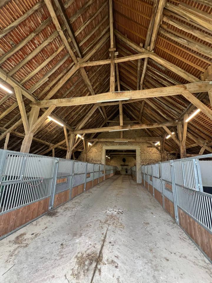 Stoeterij Koop Allier