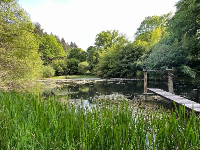 Mooi huis Koop Indre