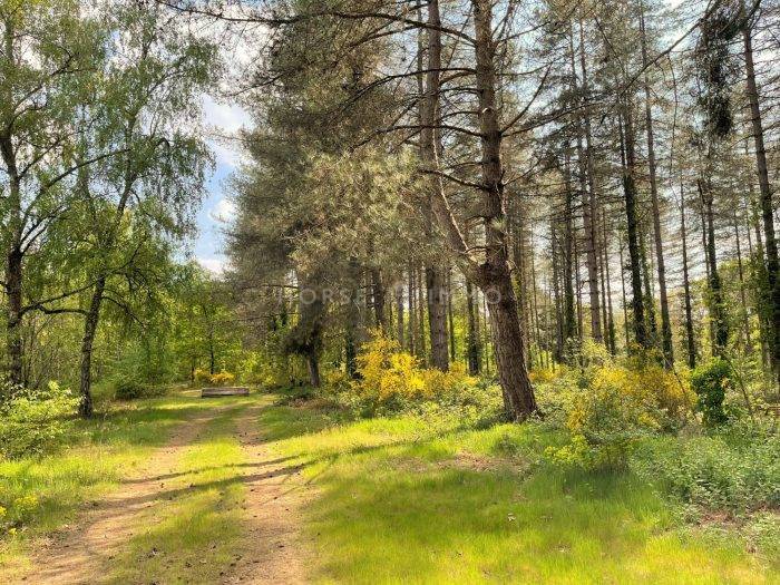 Hippisch vastgoed Koop Loir-et-Cher