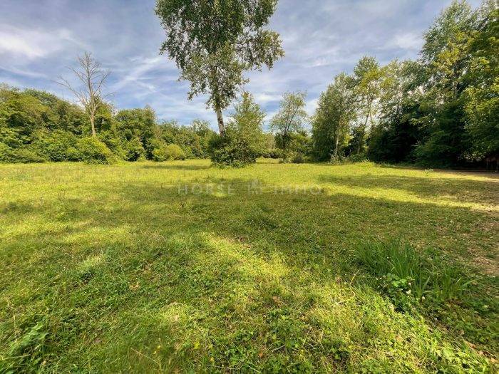 Hippisch vastgoed Koop Seine-et-Marne