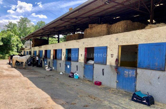 Hippisch vastgoed Koop Loire