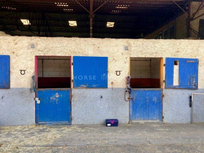 Hippisch vastgoed Koop Loire