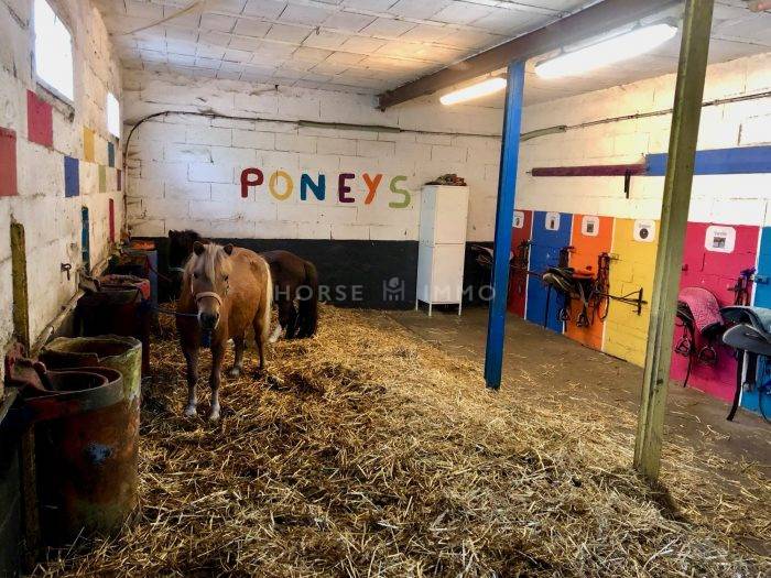 Hippisch vastgoed Koop Loire