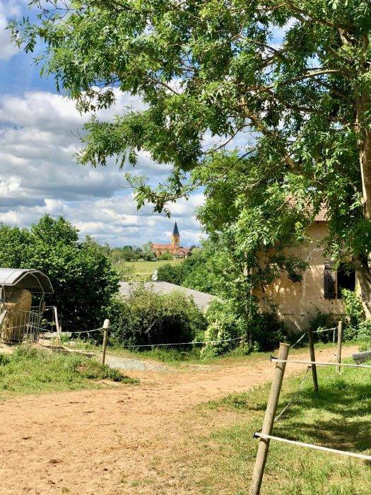 Hippisch vastgoed Koop Loire