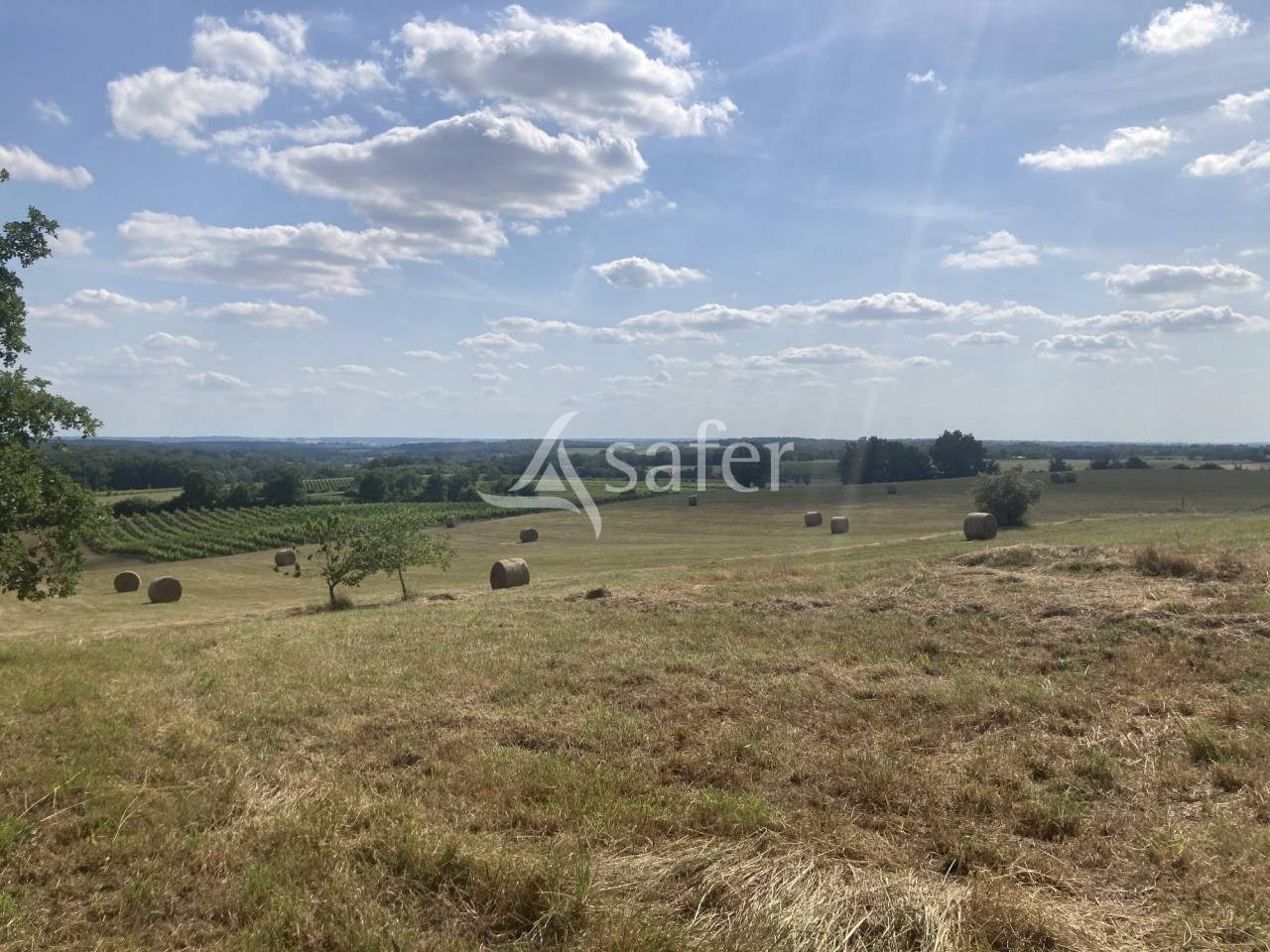 Hippisch vastgoed Koop Lot-et-Garonne