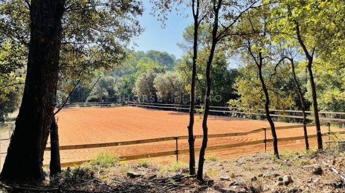 Hippisch vastgoed Koop Var