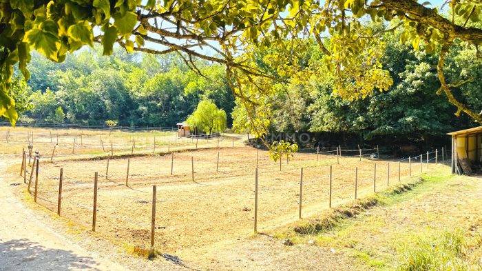 Hippisch vastgoed Koop Var