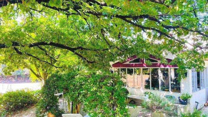 Hippisch vastgoed Koop Var