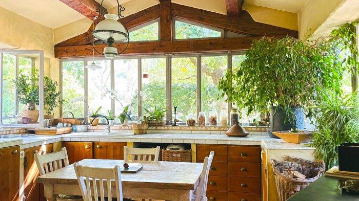 Hippisch vastgoed Koop Var