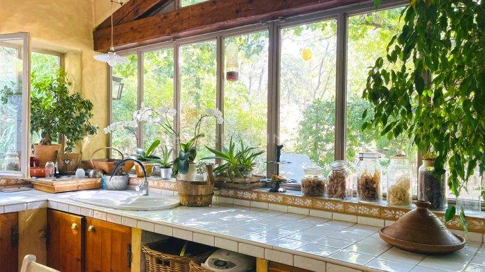 Hippisch vastgoed Koop Var