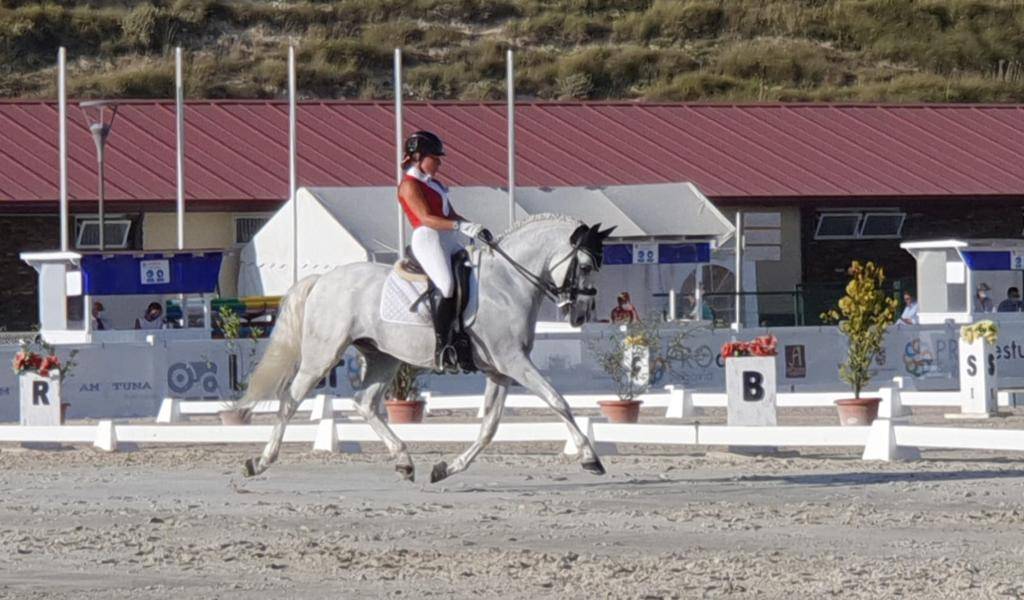 Ruin PRE Puur Ras Spaans Te koop 2012 Wit ,  BAROLIK DE LP