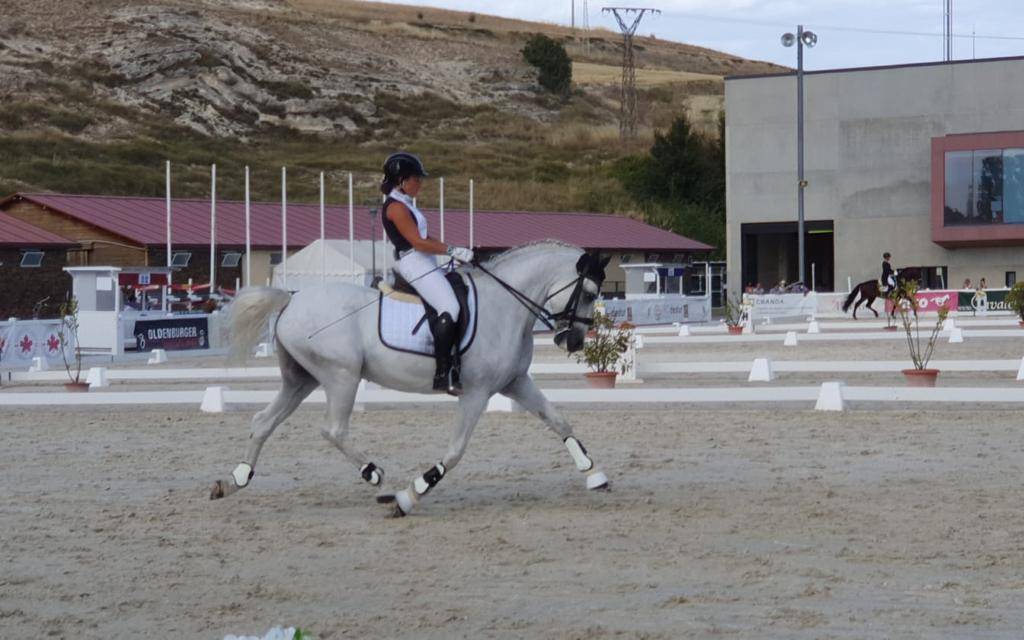 Ruin PRE Puur Ras Spaans Te koop 2012 Wit ,  BAROLIK DE LP