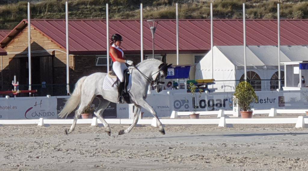 Ruin PRE Puur Ras Spaans Te koop 2012 Wit ,  BAROLIK DE LP