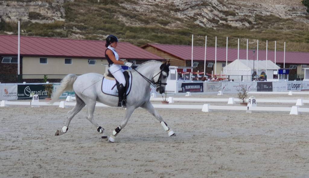 Ruin PRE Puur Ras Spaans Te koop 2012 Wit ,  BAROLIK DE LP