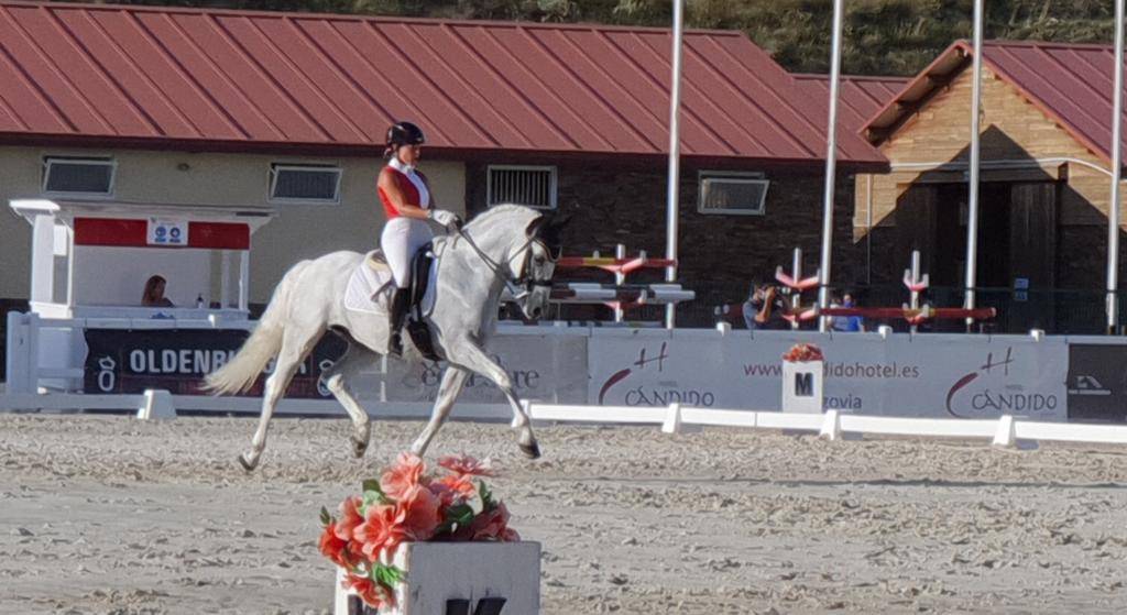 Ruin PRE Puur Ras Spaans Te koop 2012 Wit ,  BAROLIK DE LP