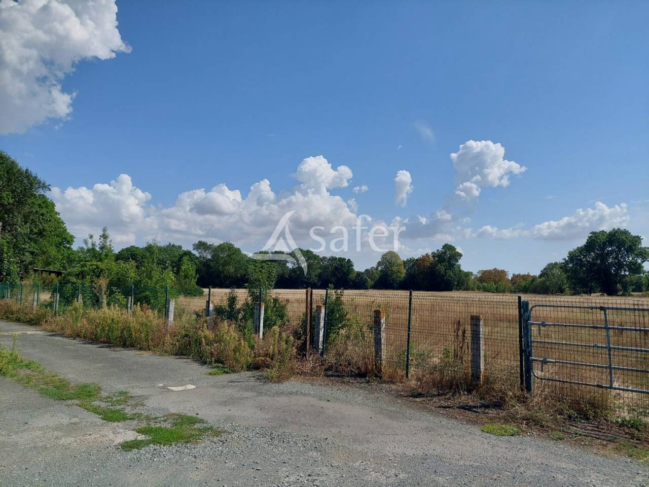 Groente exploitatie Koop Charente-Maritime