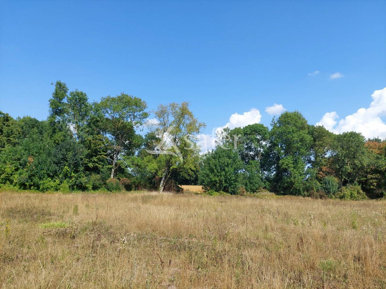 Groente exploitatie Koop Charente-Maritime