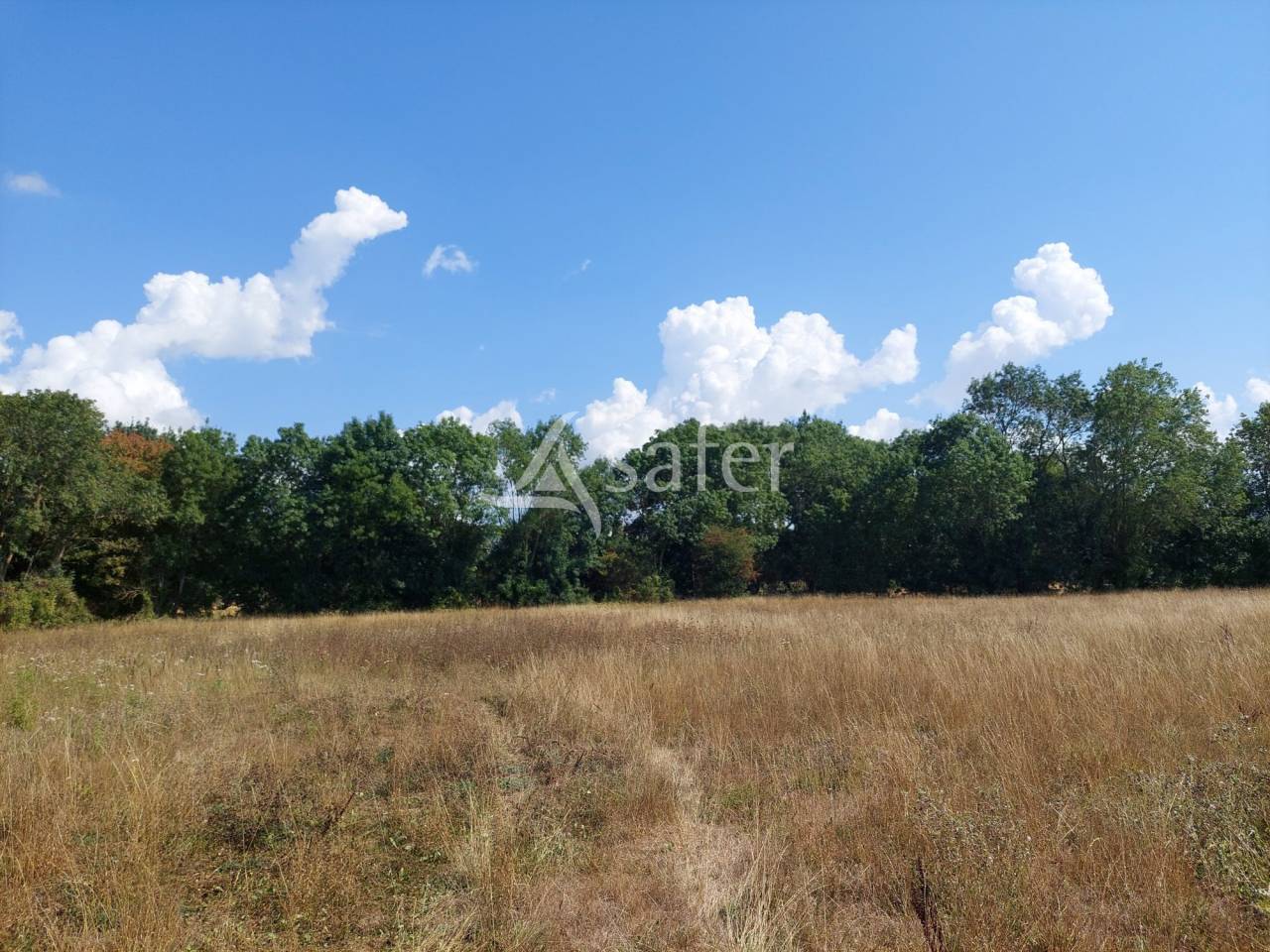 Groente exploitatie Koop Charente-Maritime