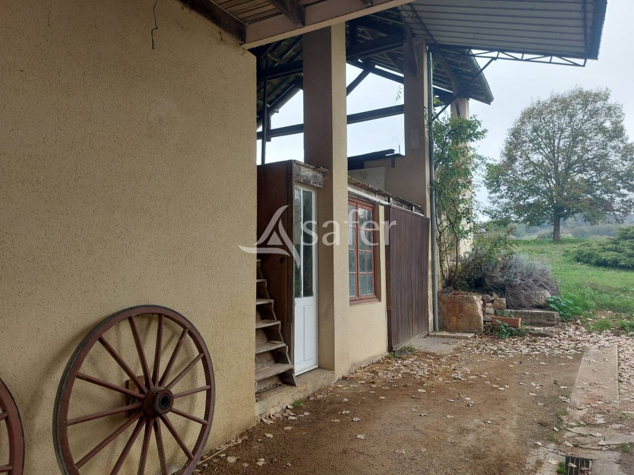 Schapen exploitatie Koop Dordogne