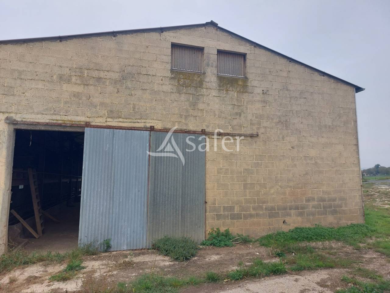 Schapen exploitatie Koop Dordogne