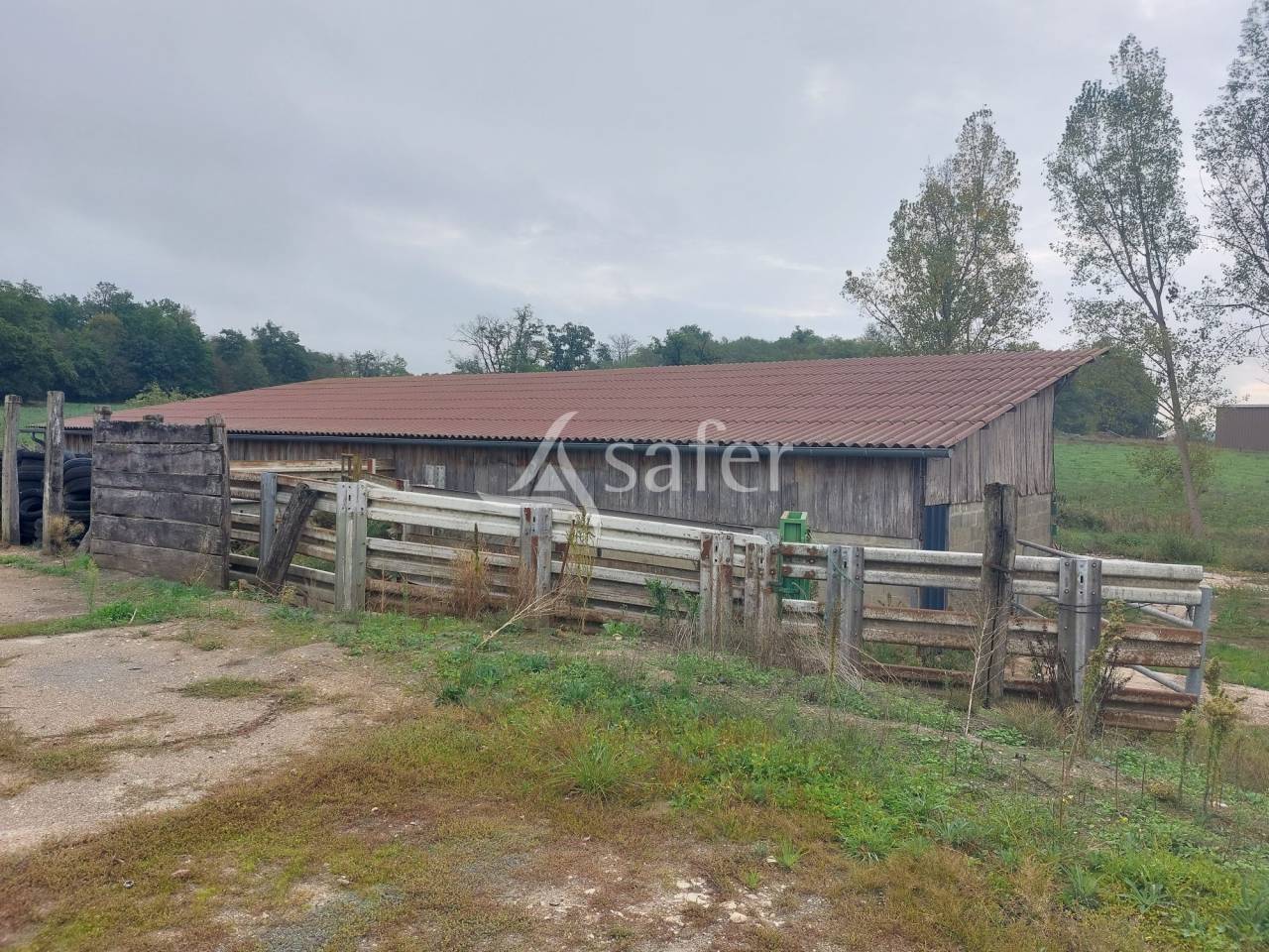 Schapen exploitatie Koop Dordogne