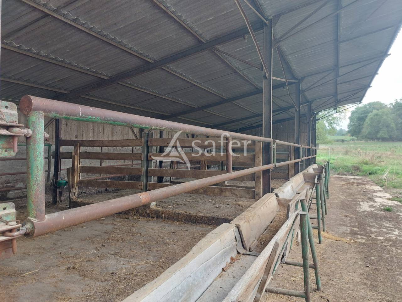 Schapen exploitatie Koop Dordogne