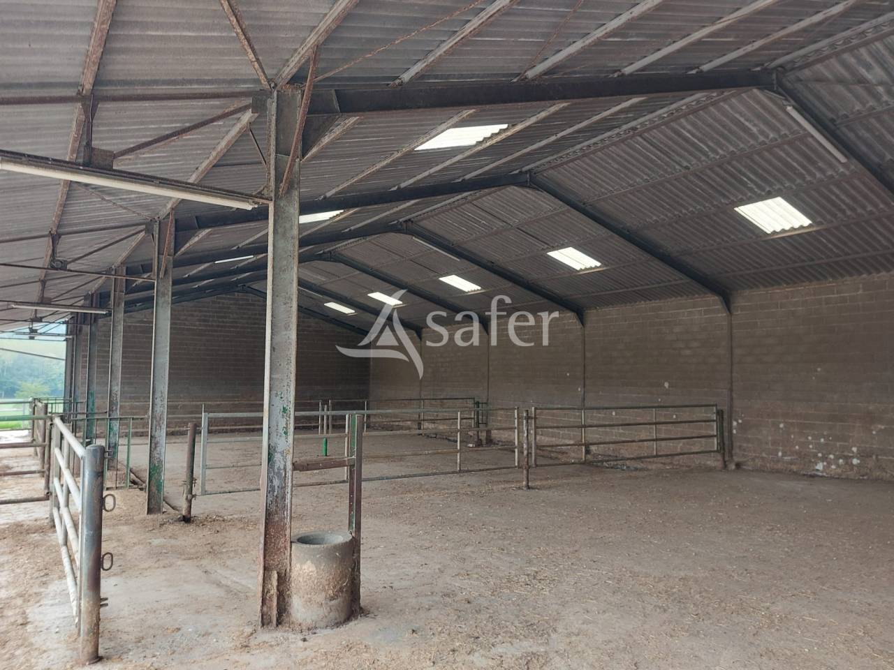 Schapen exploitatie Koop Dordogne