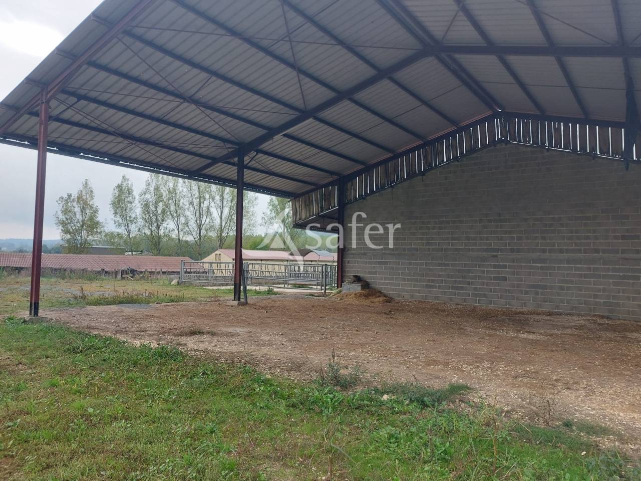 Schapen exploitatie Koop Dordogne