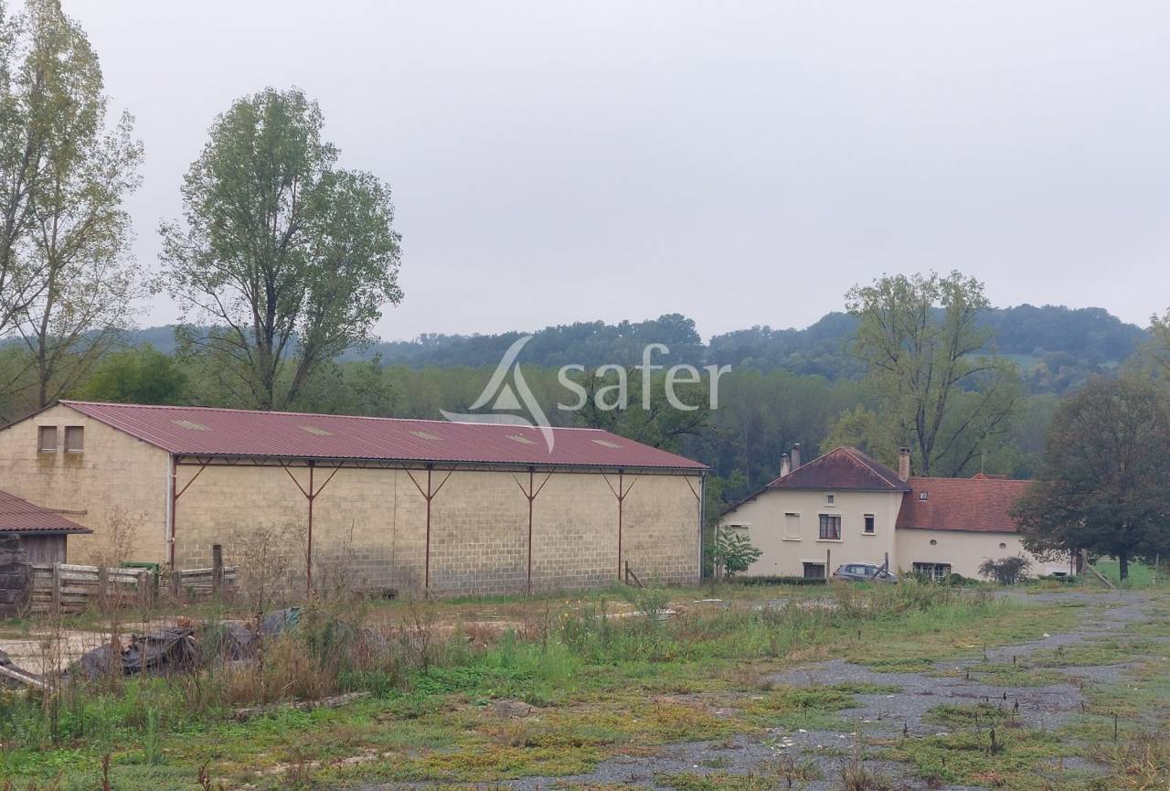 Schapen exploitatie Koop Dordogne
