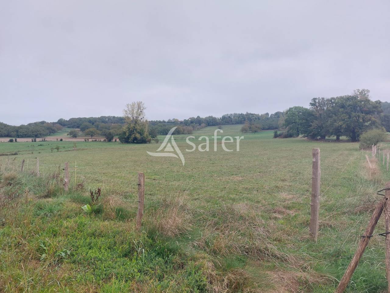 Schapen exploitatie Koop Dordogne