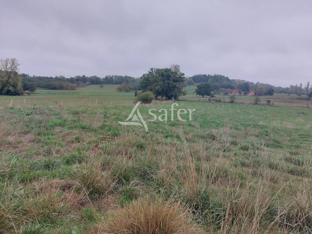 Schapen exploitatie Koop Dordogne