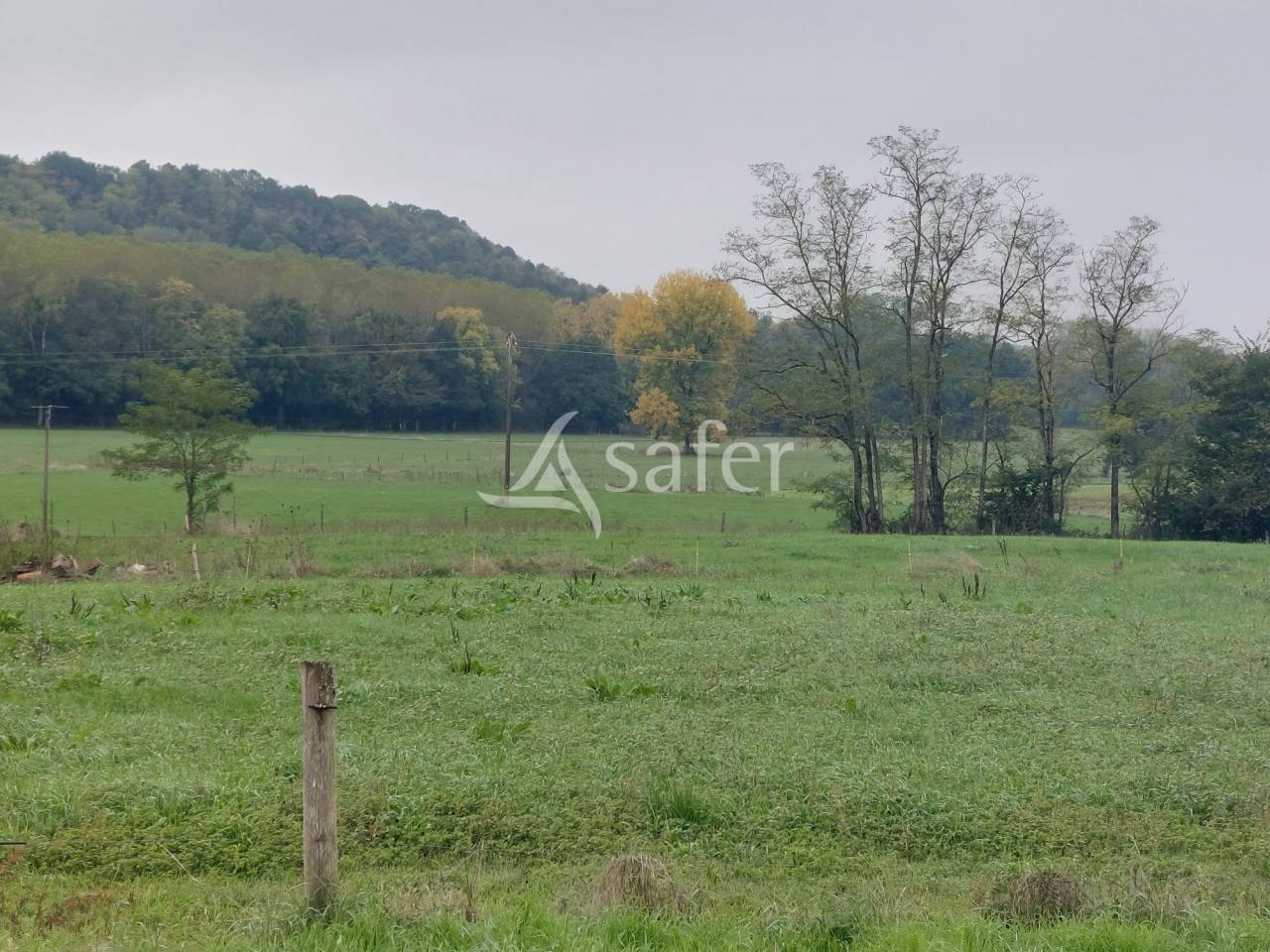 Schapen exploitatie Koop Dordogne
