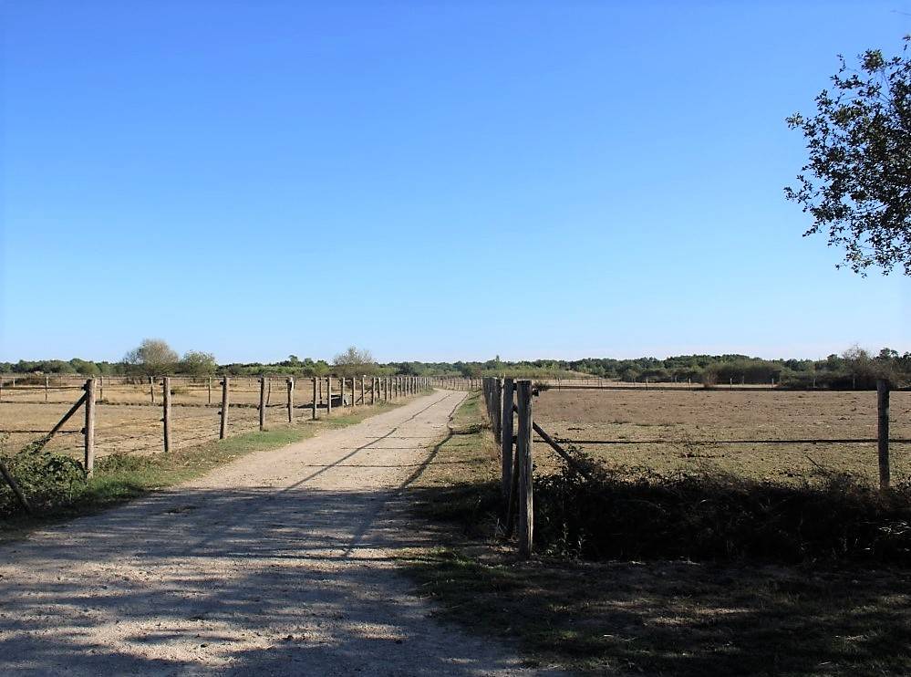 Hippisch vastgoed Koop Haute-Garonne