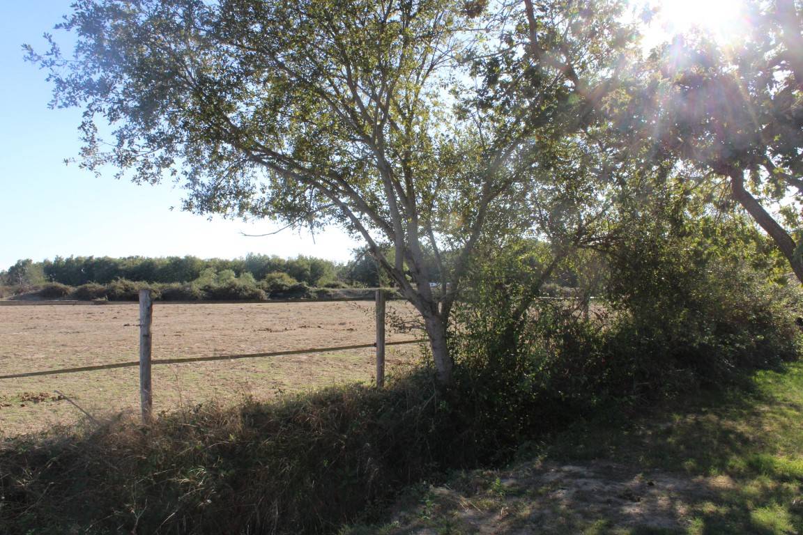 Hippisch vastgoed Koop Haute-Garonne