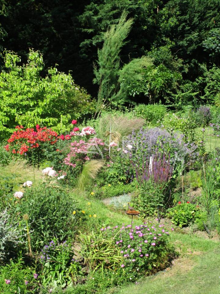 Bos exploitatie Koop Dordogne