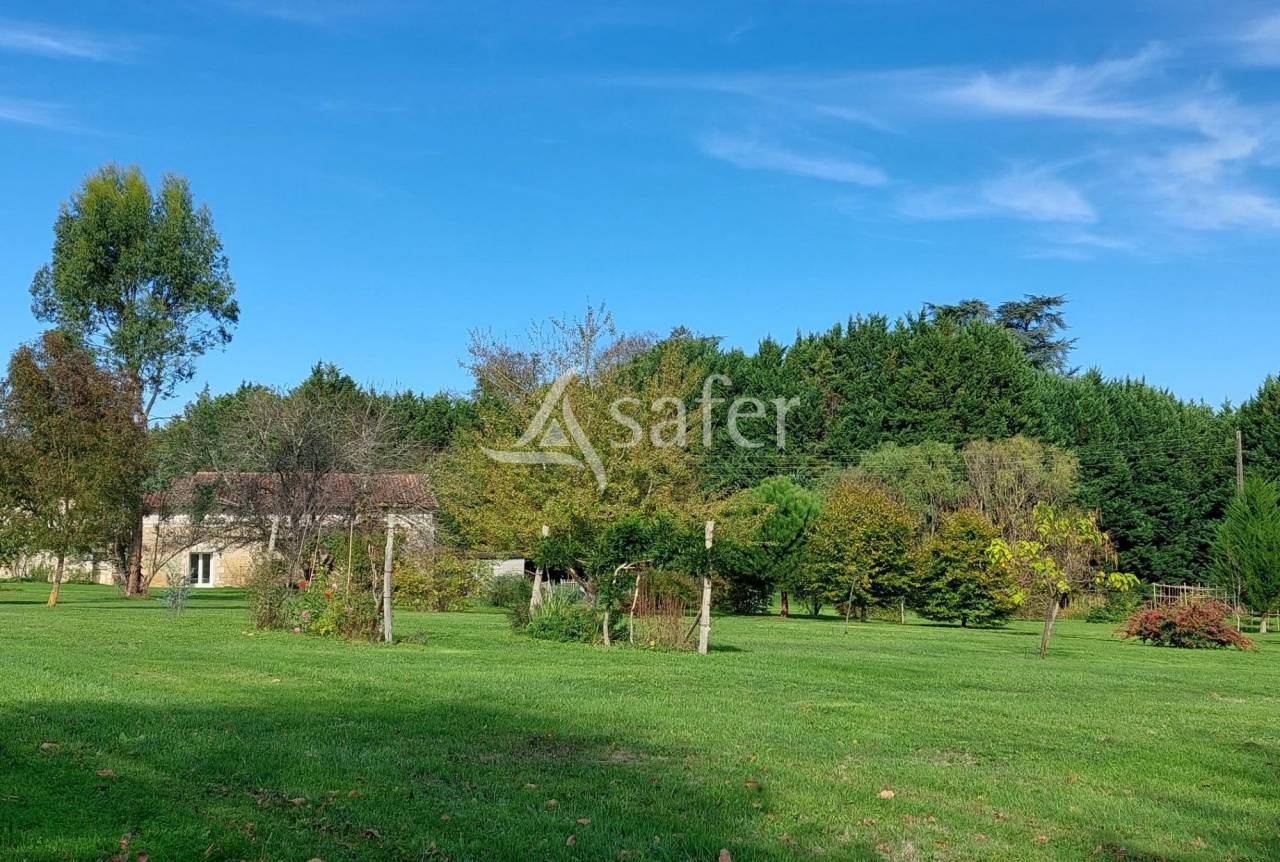 Bos exploitatie Koop Dordogne