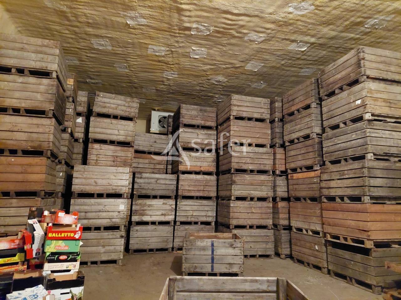 Bos exploitatie Koop Dordogne