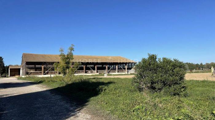 Hippisch vastgoed Koop Gard