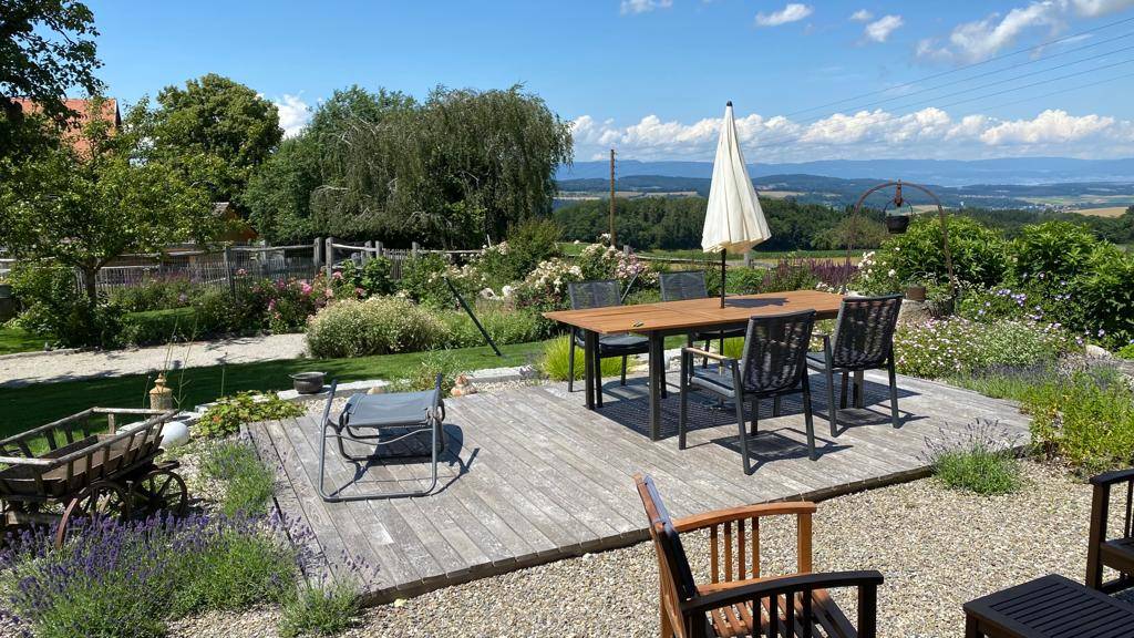 Paarden boerderij Koop Vaud