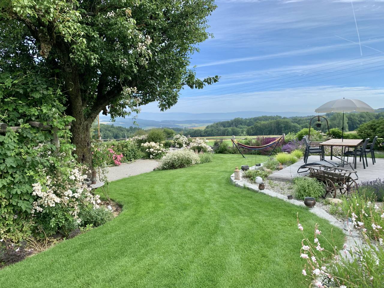 Paarden boerderij Koop Vaud